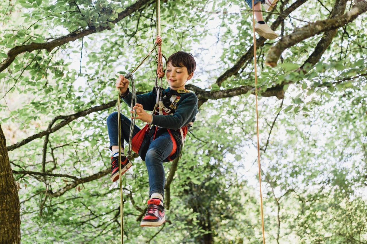 Cocoon Village - Glamping - Domaine Des Grottes De Han Rochefort Ngoại thất bức ảnh